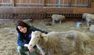 Sue at Farm Sanctuary